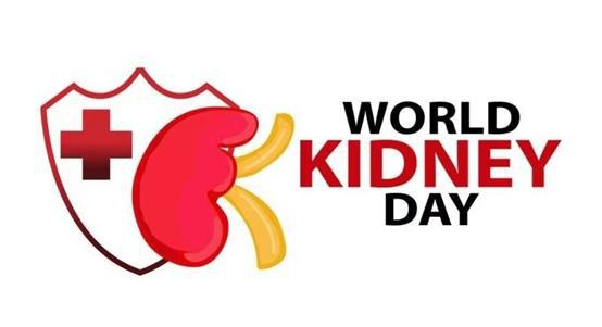 世界腎病日 北京佑安醫(yī)院健康咨詢活動(dòng)與軟件開發(fā)在醫(yī)療中的創(chuàng)新應(yīng)用